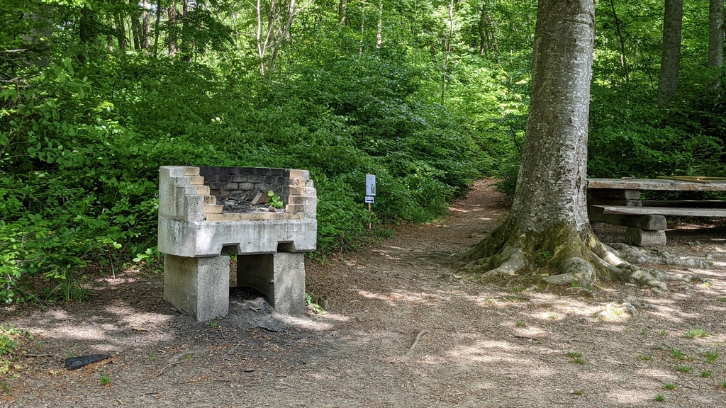 Aire de pique-nique des vestiges de Bossonnens, sentier pour rejoindre l'exposition.